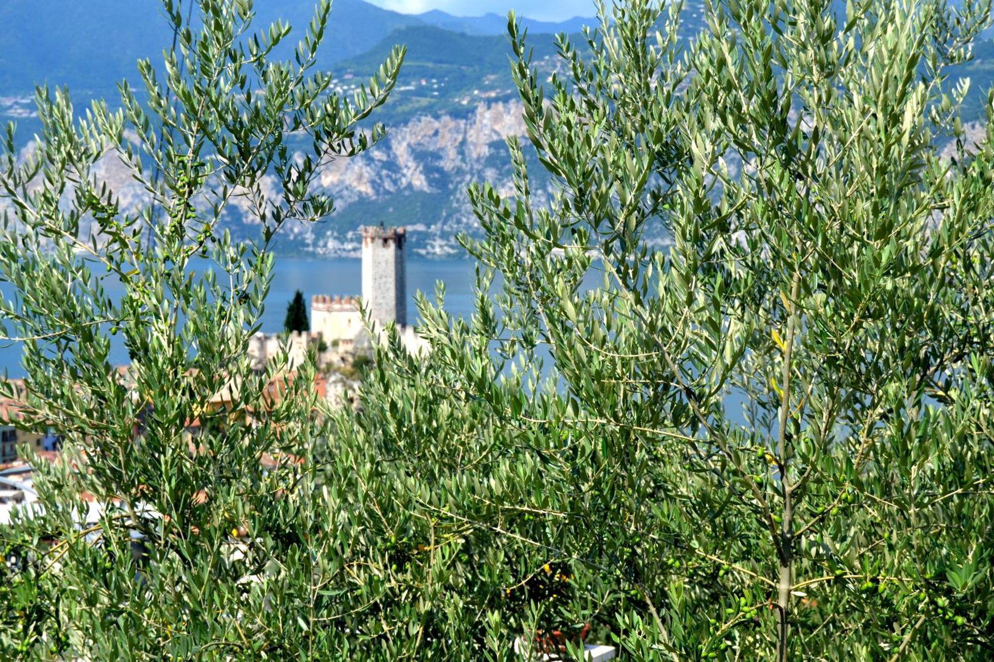 Appartamenti La Perla Malcesine Exterior foto